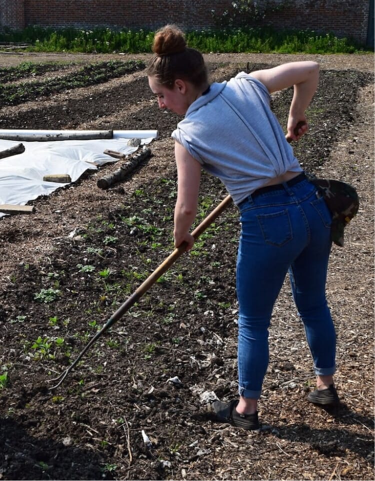 Day Volunteer Work In Garden