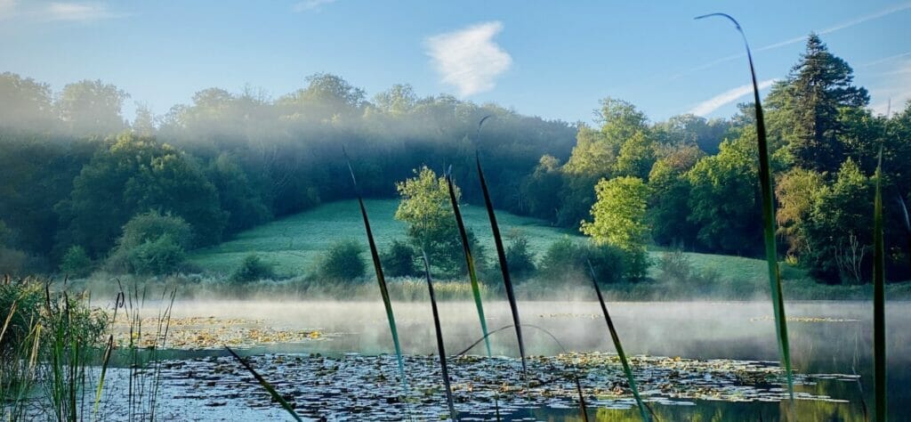 Looking At Th Elake Looking At Th Elake