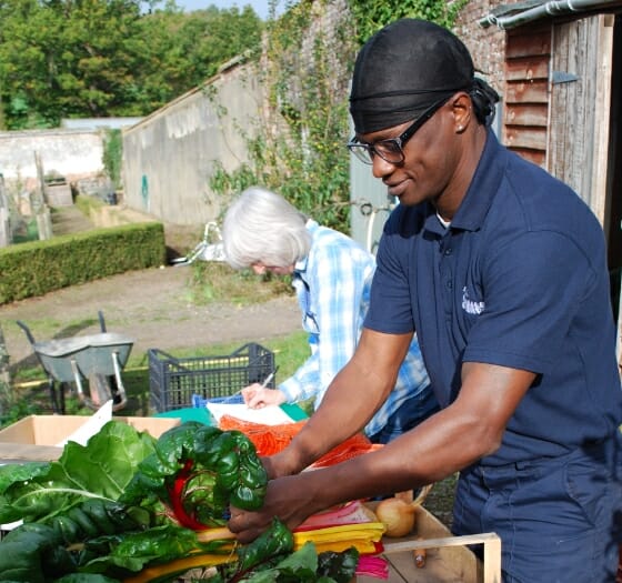 Man Garden