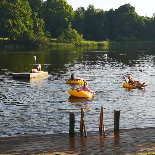 Swimming And Having Fun In The Lake Swimming And Having Fun In The Lake