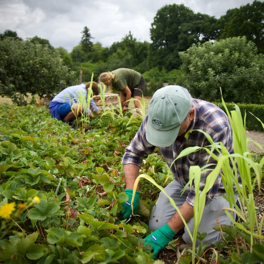 Volunteers Working In The Garden Volunteers Working In The Garden